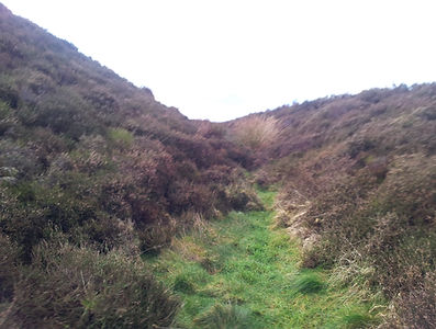 The ramparts of Moel Arthur, more up clo