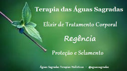 Elixir de Proteção e Selamento - Terapia das Águas Sagradas