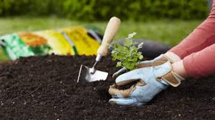 gardenhands.jpeg