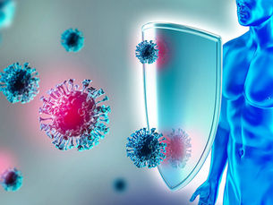 The Immune System: Your Body’s 24/7 Superhero Squad