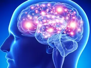 Stress & The Brain: How Stress Affects Brain Chemistry and How to Protect Your Mental Health