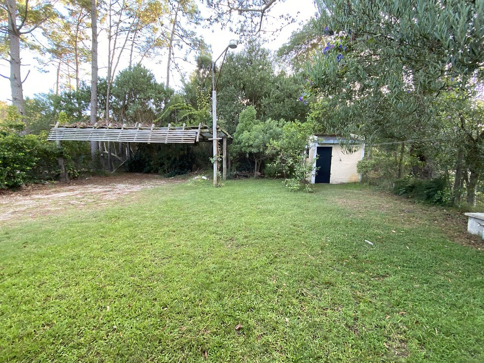 Miniatura: LOS CEIBOS E/AV CENTRAL y ALGARROBO - LA PALOMA - URUGUAY