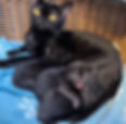 IMG_8408.jpeg