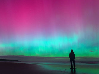 From Duality into Aurora DNA