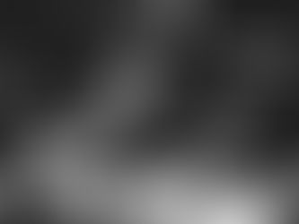 少なく飲んで、深く味わう——「Half Pour（ハーフポア）」が変えるドリンク体験の設計