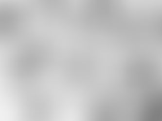 コーディアルの500年——薬局で生まれた飲み物が、ノンアルコール時代に蘇る理由