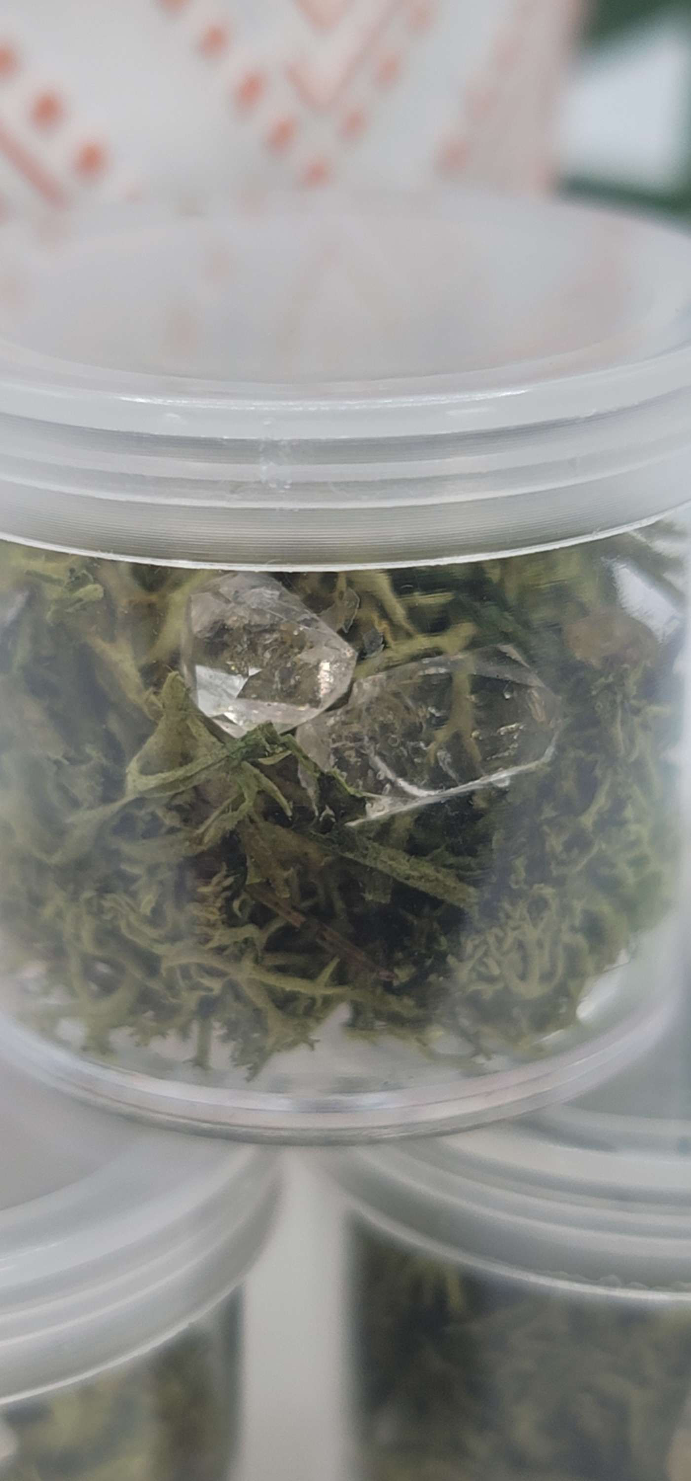 Enhydro Quartz Crystal