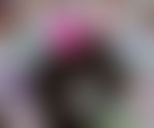 Slippers: A Glimpse into your Sole