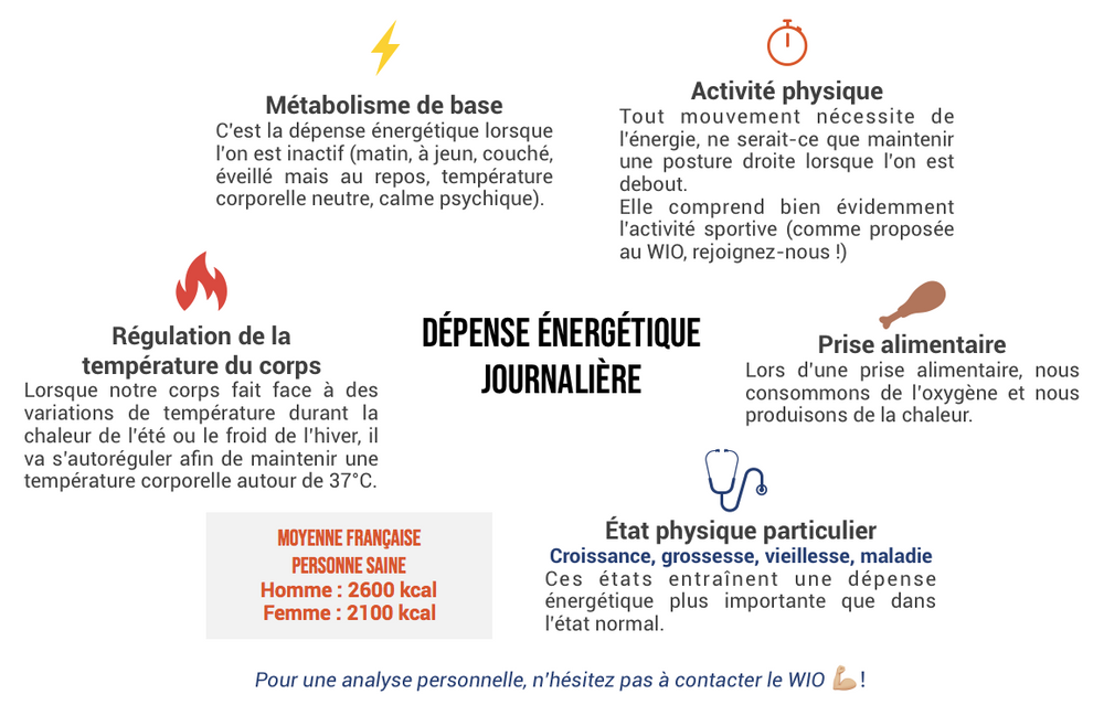 Combien De Calories Depensons Nous Par Jour FOOD & BODY