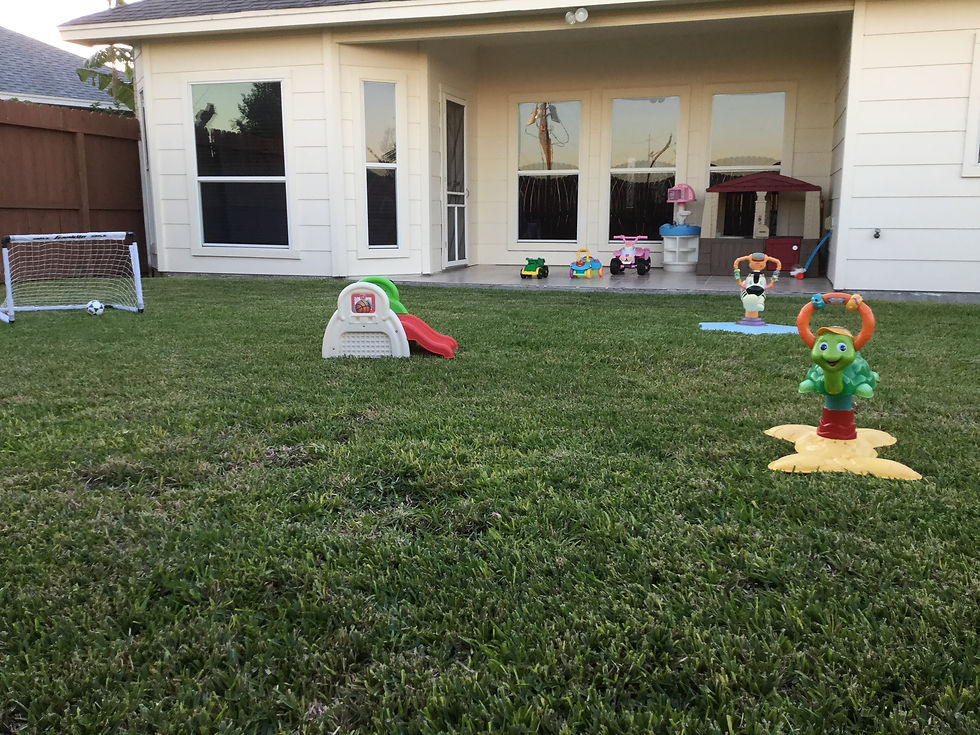 Open Playground