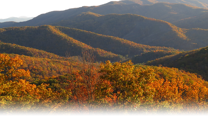 ECHS Header.png