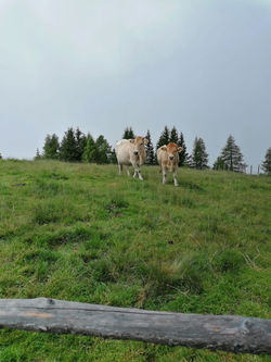 Berggottesdienst