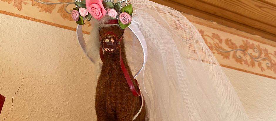 Alt vi ejer er vores historier