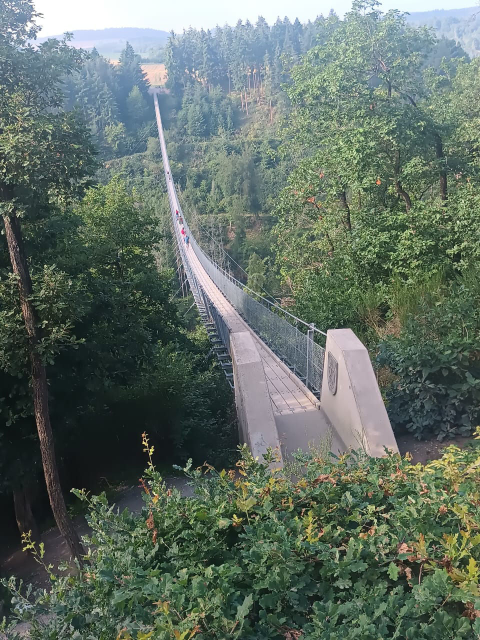 Ponte pênsil na cidade de Mörsdorf. Foto: Divulgação.