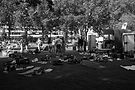 R0003814.JPG