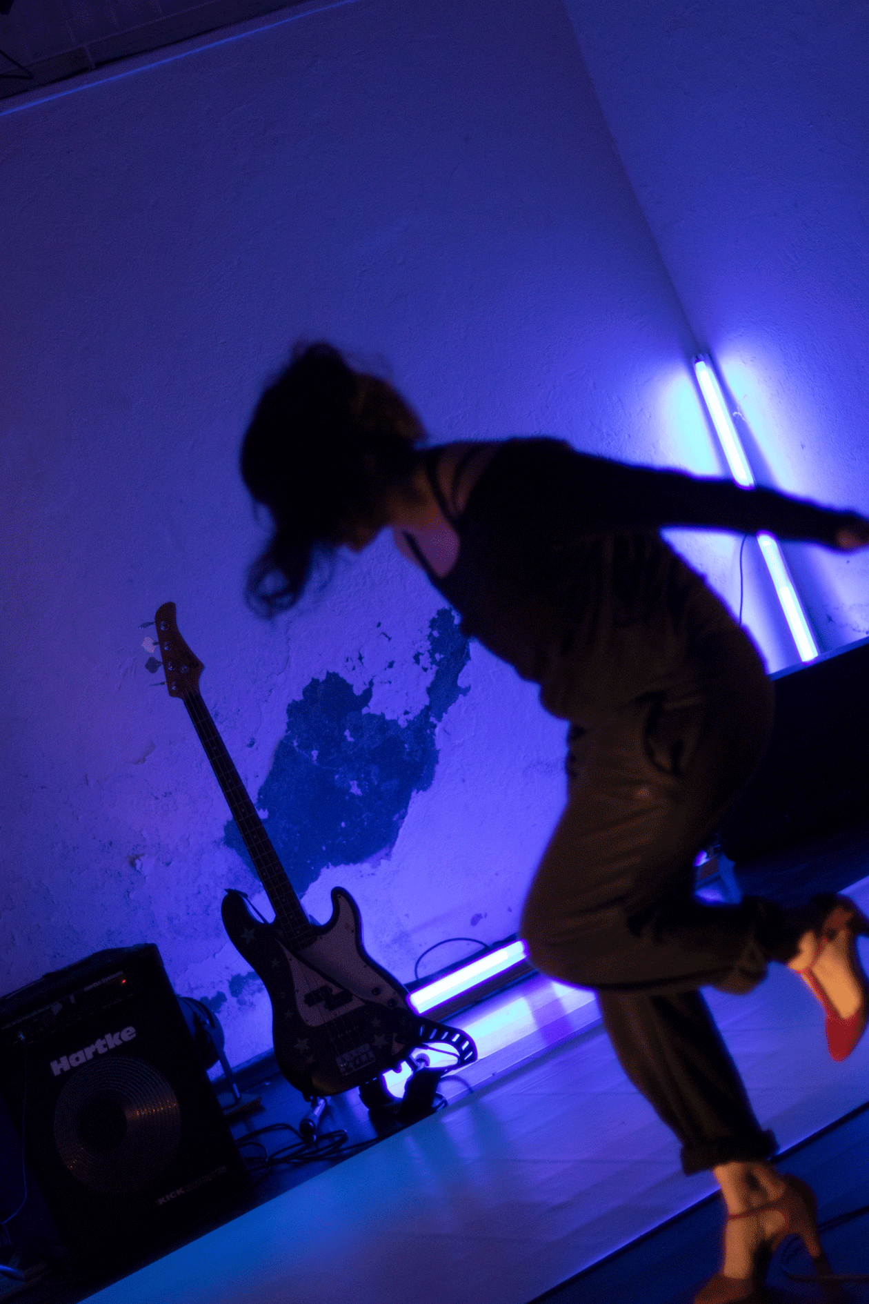 container-bestiaire-8897.gif