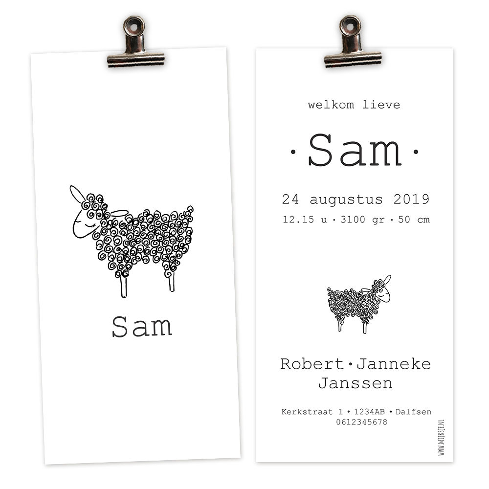 Geboortekaartje Sam