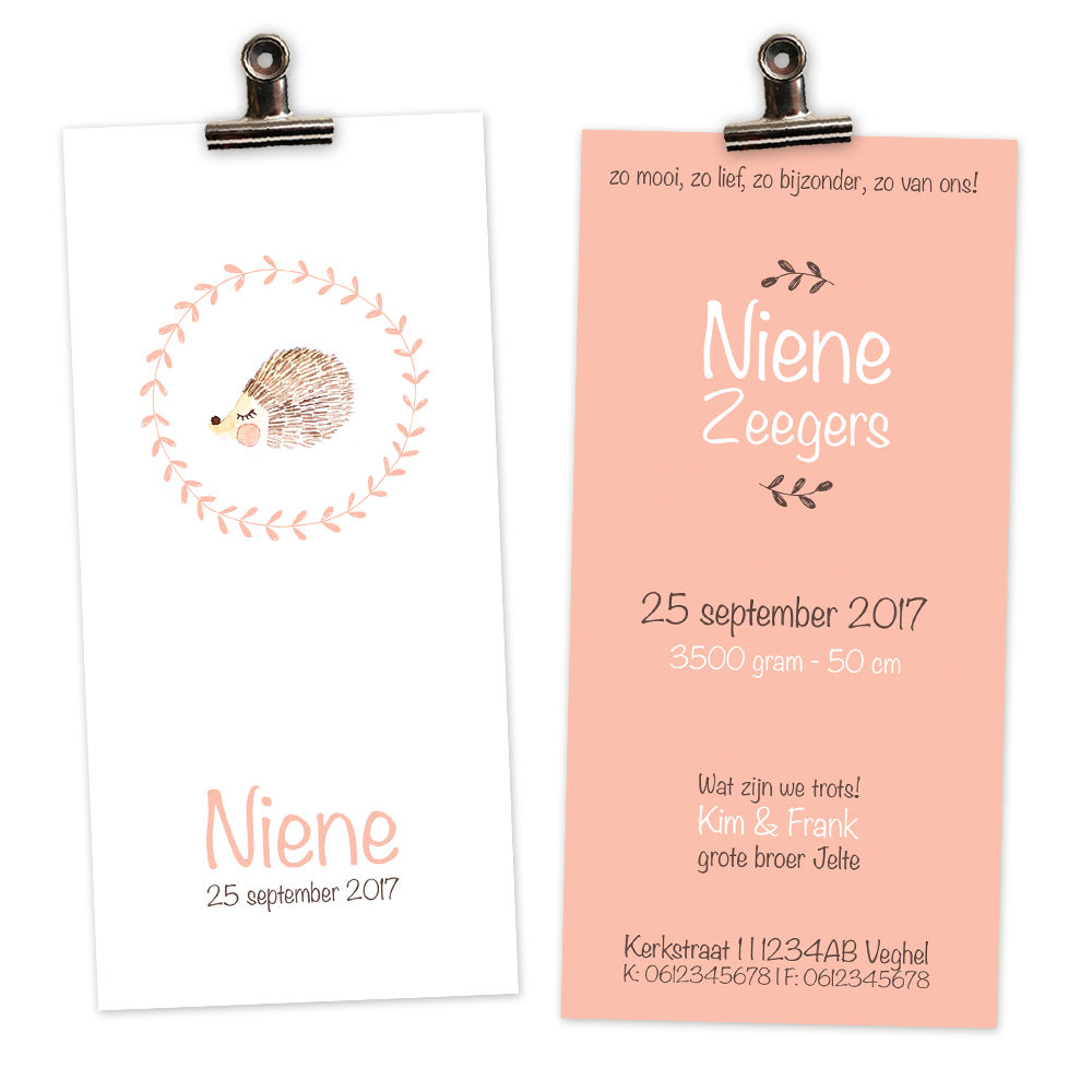 geboortekaartje Niene