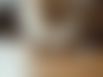Why Do Cats Knock Things Over? Cat Behavior Explained
