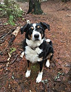 Lotti 009.JPG