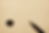 ChatGPT Image 20 oct. 2025, 18_13_17.png