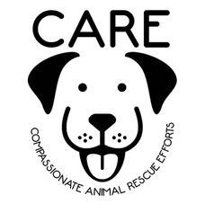 BW Care Logo.png