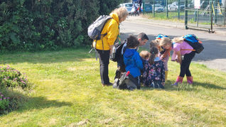 Wexford county scouts head to Courtown woods