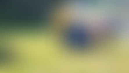 Wexford county scouts head to Courtown woods