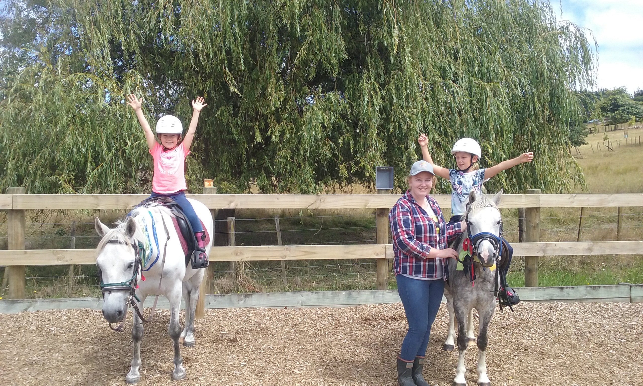 Fun pony session