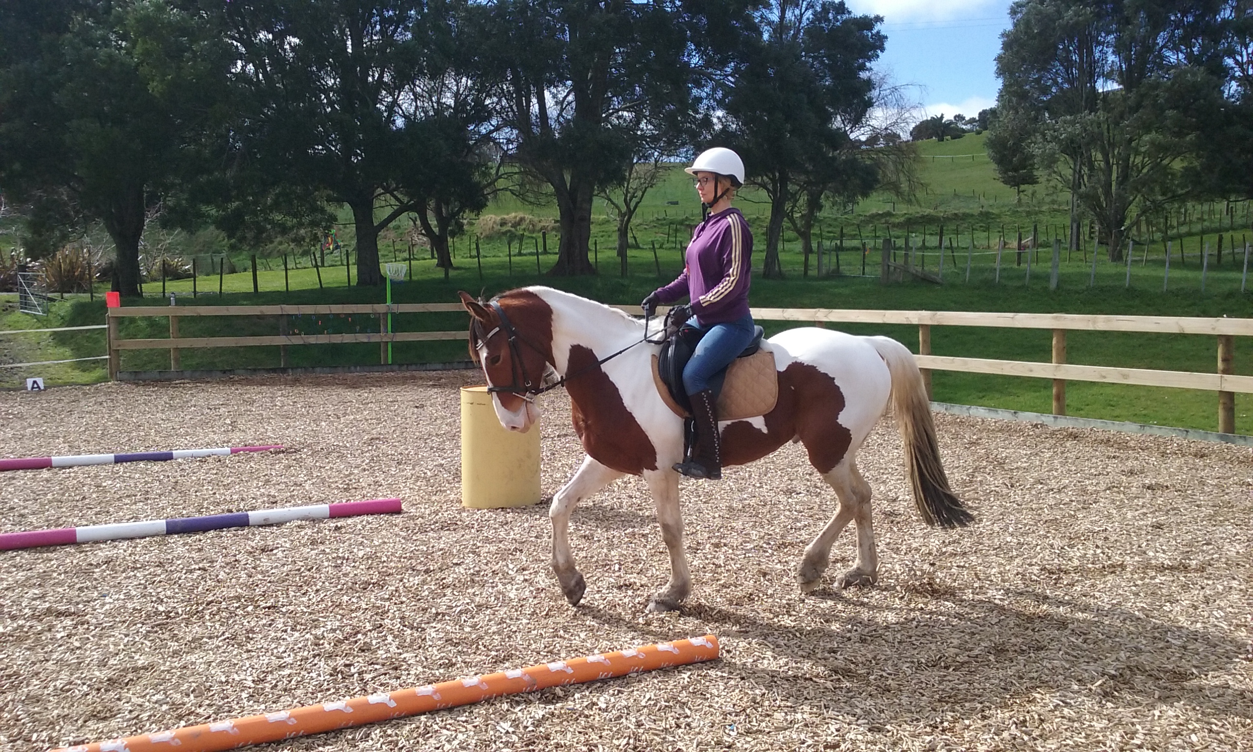 Riding Lesson