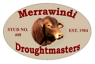 logo 7_edited_edited.png