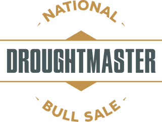 DMNBS-RGB-Postive-600x446.png
