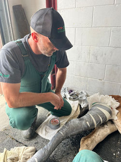 Feb Jeff with foul cast