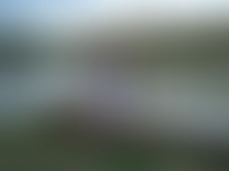 As Mulheres e as Águas: coragem, tradição e resistência no feminino das marés.