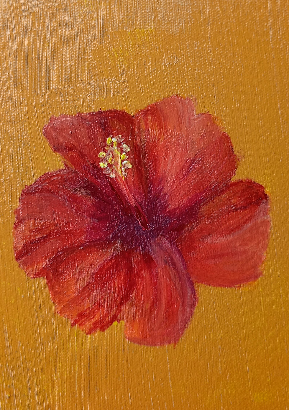 HIBISCO com tinta acrílica