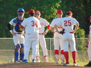 Blue Sox takedown Red Wings 12-5