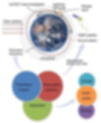 “Visualization of the Schumann cavity and ELF/ULF waves between Earth and ionosphere.”