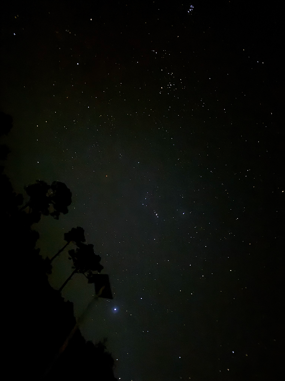 Acatenango Basecamp @ 3am facing Orion Constellation