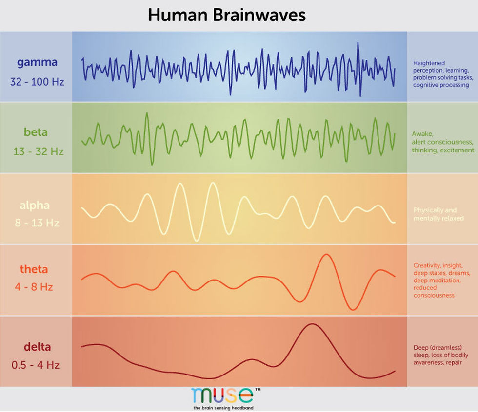 “Human brainwave frequency ranges (gamma–delta) and corresponding states.”