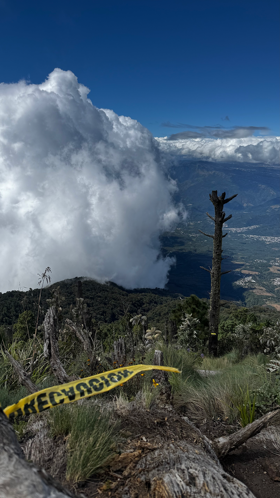 @ 3000 mts, Acatenango Hike Trail. 2025