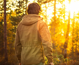 Sunset in the Nature