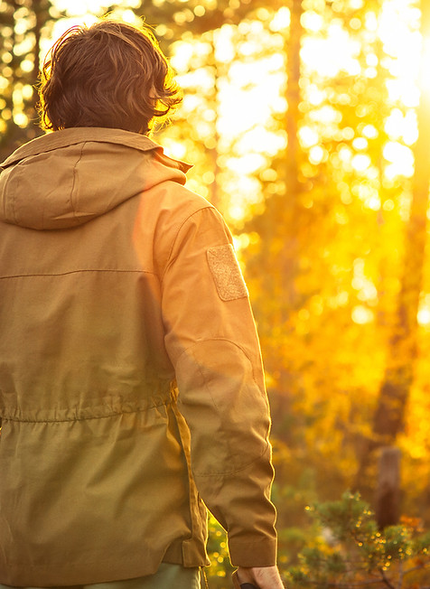 Sunset in the Nature