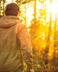 Sunset in the Nature