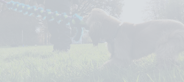 IMG_0253_whiten.png