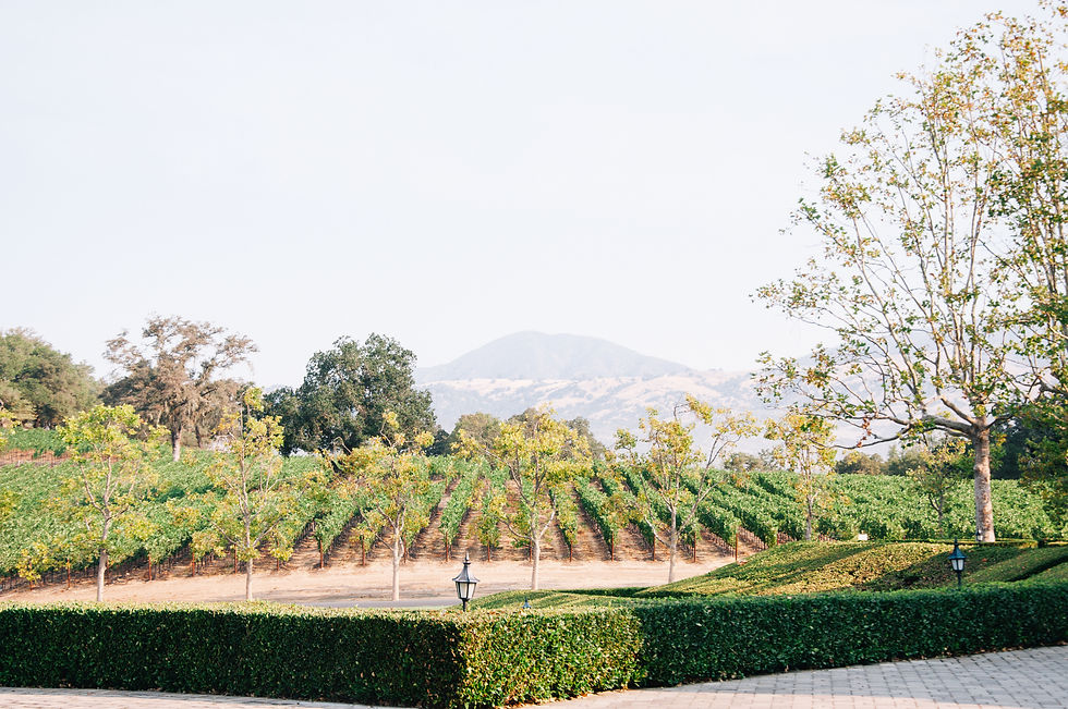 Sonoma, September 2022