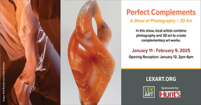 Perfect Complements: Jan 11 to Feb 9, 2025