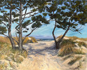 mccarthy-p-beach-pines-1.jpeg