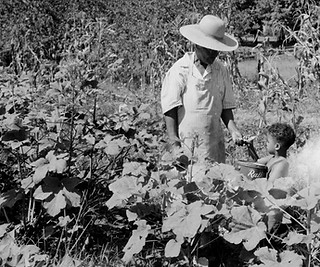 HENNING_Alex Haley's Grandmother Cynthia Palmer with grandson William Haley_AHP 1892x1524.