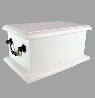 Urna para Cinzas.jpg