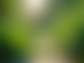 The Importance of Sustainable Living in Today's World